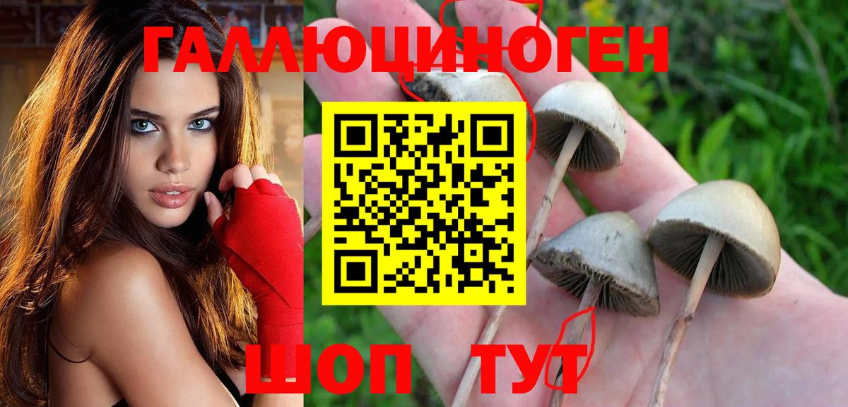 Галлюциногенные грибы MAGIC MUSHROOMS  Вход с VPN  Лосино-Петровский 